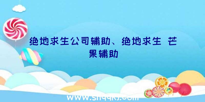 绝地求生公司辅助、绝地求生